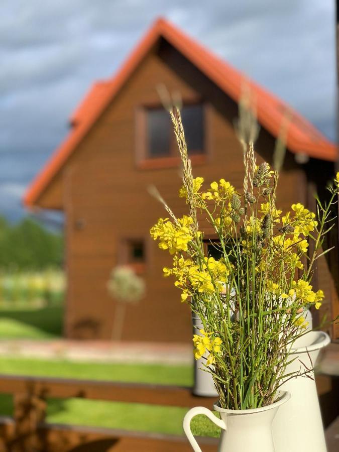 Osada Skorupki - Caloroczne Domki Na Mazurach Extérieur photo